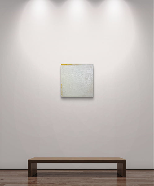 ImVisible V